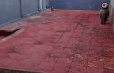 Imagem 2: Vendo excelente casa plana no Henrique Jorge