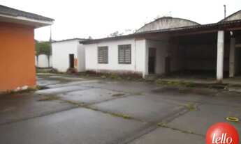 Imagem 6: São Paulo - Terreno Padrão - Lapa