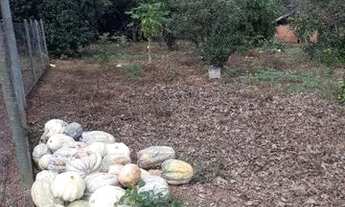 Imagem 4: Sítio 4.8 há Chácara com venda por R$590.000