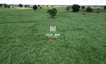 Imagem 3: FAZENDA FORMADA NA REGIÃO DE JANAUBA E CAPITÃO ENEIAS MG PARA PECUARIA E COM MUITA AGUA