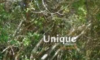 Imagem 2: Terreno à venda, 1000 m² por R$ 690.000,00 - Rasa - Armação dos Búzios/RJ