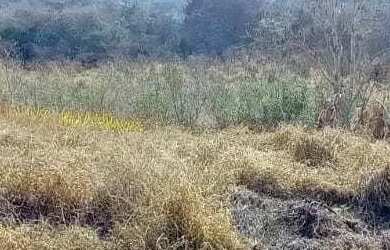 Imagem 2: Lote em Rua Caminho D, lote 21 - Jardim Primavera - São Pedro/SP