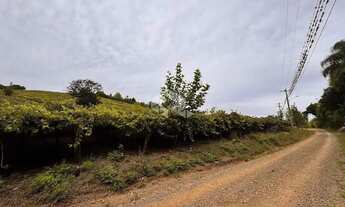 Imagem 2: Propriedade Rural com produção de Uvas e uma casa de Mista