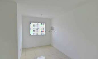 Imagem 3: Apartamento 2 quartos para aluguel Pelotas