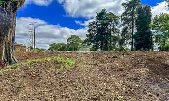 Imagem: Vendas Terreno Almirante Tamandaré PR