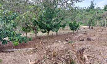 Imagem 5: Venda de sitio Chácara com venda com preço sob consulta