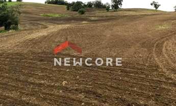 Imagem: Sítio em Praça da Bandeira - Área Rural