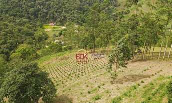 Imagem 7: Sítio com 3 dormitórios à venda, 20000 m² por R$ 880.000 - Guirra - São José dos Campos/SP