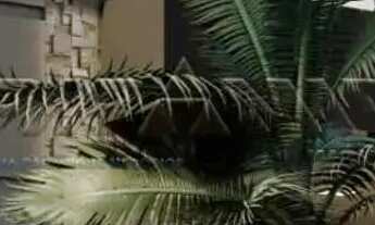 Imagem: Casa Condomínio em Ribeirão Preto