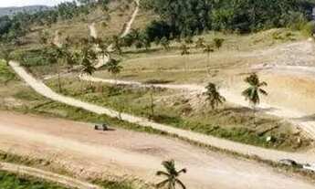 Imagem 6: Lote à venda em rua pública, CENTRO, Maragogi, AL