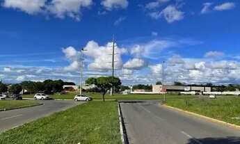 Imagem 3: Lote Jardim Europa