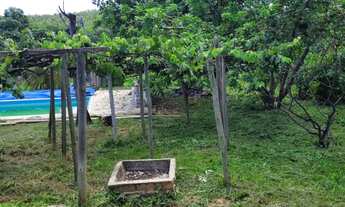 Imagem 3: ? SÍTIO / TERRENO RURAL À VENDA OU TROCA - 84.000 m² (2 ALQUEIRES