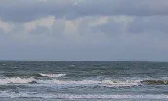 Imagem 4: Vendo sítio no miai em Coruripe!