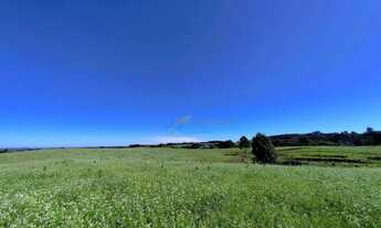 Imagem 14: Fazenda à venda, 907500 m² por R$ 8.000.000 100% regularizada - Guaraniaçu/PR