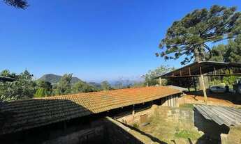 Imagem 6: Sitio - Bairro Serra Grande