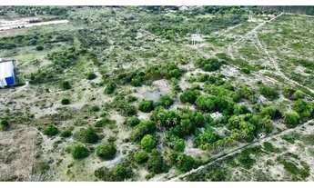 Imagem 3: NOVA ALAGOINHAS Fazenda / sítio com venda por R$15.000.000