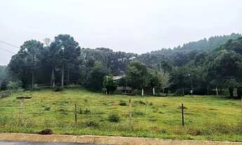 Imagem: Sítio em Canela