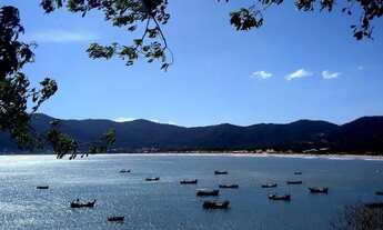 Imagem 2: Aluguel Apartamento. 1 Quarto. Em frente ao mar,vista panorâmica. Costão do Pântano do Sul