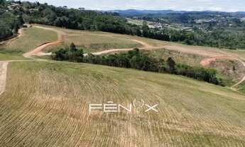 Imagem 5: Liberdade total para criar