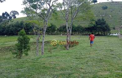 Imagem 3: Terreno à venda, 3166 m² por R$ 103.500,00 - Bairrinha Varginha - Natividade da Serra/SP