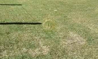 Imagem 2: Linda Casa Moderna - 2 dormitórios Jardim beira mar - Capão da Canoa REF: CA0500