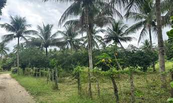 Imagem 6: Terreno pra sítio