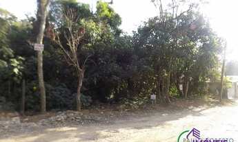 Imagem 7: TERRENO - GRANJA VIANA - SP