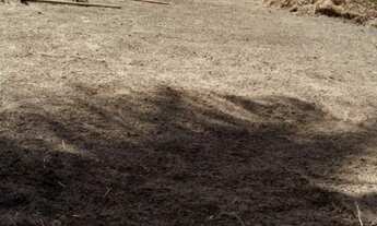 Imagem: 1 lote de terreno 180 metros quadrados no