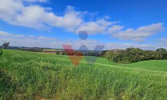 Imagem: Chácara 20.000m em Araucária Frente Asfalto