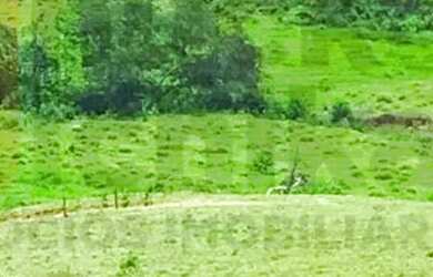 Imagem 6: Fazenda de 131 tarefas - Siriri