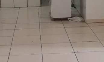 Imagem 6: ALUGO APARTAMENTO NO BOA VISTA - JOINVILLE