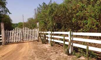 Imagem 7: Pesqueiro em rio negro ms troca por carro ou imovel!