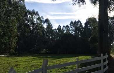 Imagem 3: Sitio Fazenda / sítio com venda por R$270.000