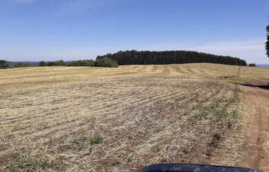 Imagem 5: Fazenda em ipiranga