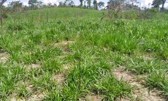 Imagem 9: Fazendas disponíveis em Feijó ( leia o anúncio