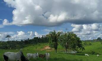 Imagem: Fazendas disponíveis em Feijó ( leia o