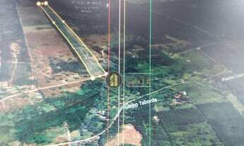 Imagem 7: Fazenda em Japecanga