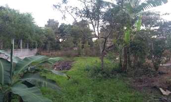 Imagem 6: Chacara toda plana, cercada, pertinho de tudo