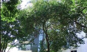 Imagem: SÃO PAULO - Apartamento Padrão - campo