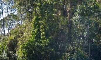 Imagem 7: Terrenos Loteamento Morada dos Alpes II