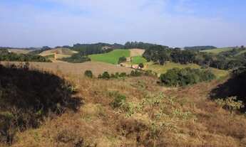 Imagem 5: Lote/Terreno para venda com 21000 metros quadrados em Centro - Campo Alegre - SC