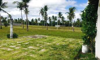 Imagem 3: Loteamento Parque dos coqueiros em Paracuru