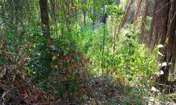 Imagem 2: 03 Lote com área de 360 m² cada um totalizando uma área de 1080m² em São Joaquim de Bicas