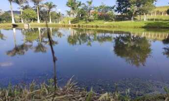 Imagem 4: WNS LOTES INCRÍVEIS POR R$40 MIL COM 1000m²