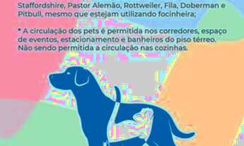 Imagem 6: Local monitorado, com vigilância, aceitamos pets, com e sem suite