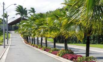 Imagem 2: Novidade no Mar Dule: Lote sol da manhã na rua principal da portaria!