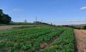 Imagem 6: Lindo terreno em cotia