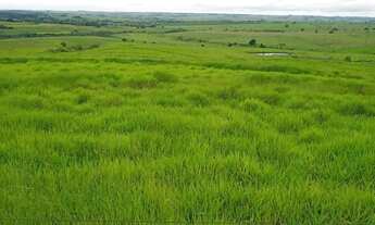 Imagem: PRESIDENTE BERNARDES - RURAL - Zona Rural