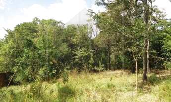 Imagem 3: Terreno - Chácara Santa Margarida - Campinas