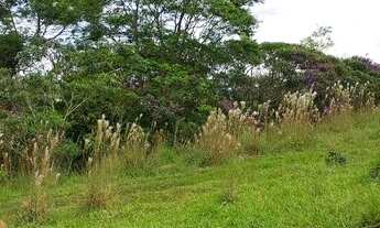 Imagem 4: Terreno com ótima qualidade a venda !!